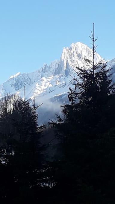 Chalet Les Charmilles - Vallee De Chamonix - 5 Chambres Les Houches Eksteriør bilde
